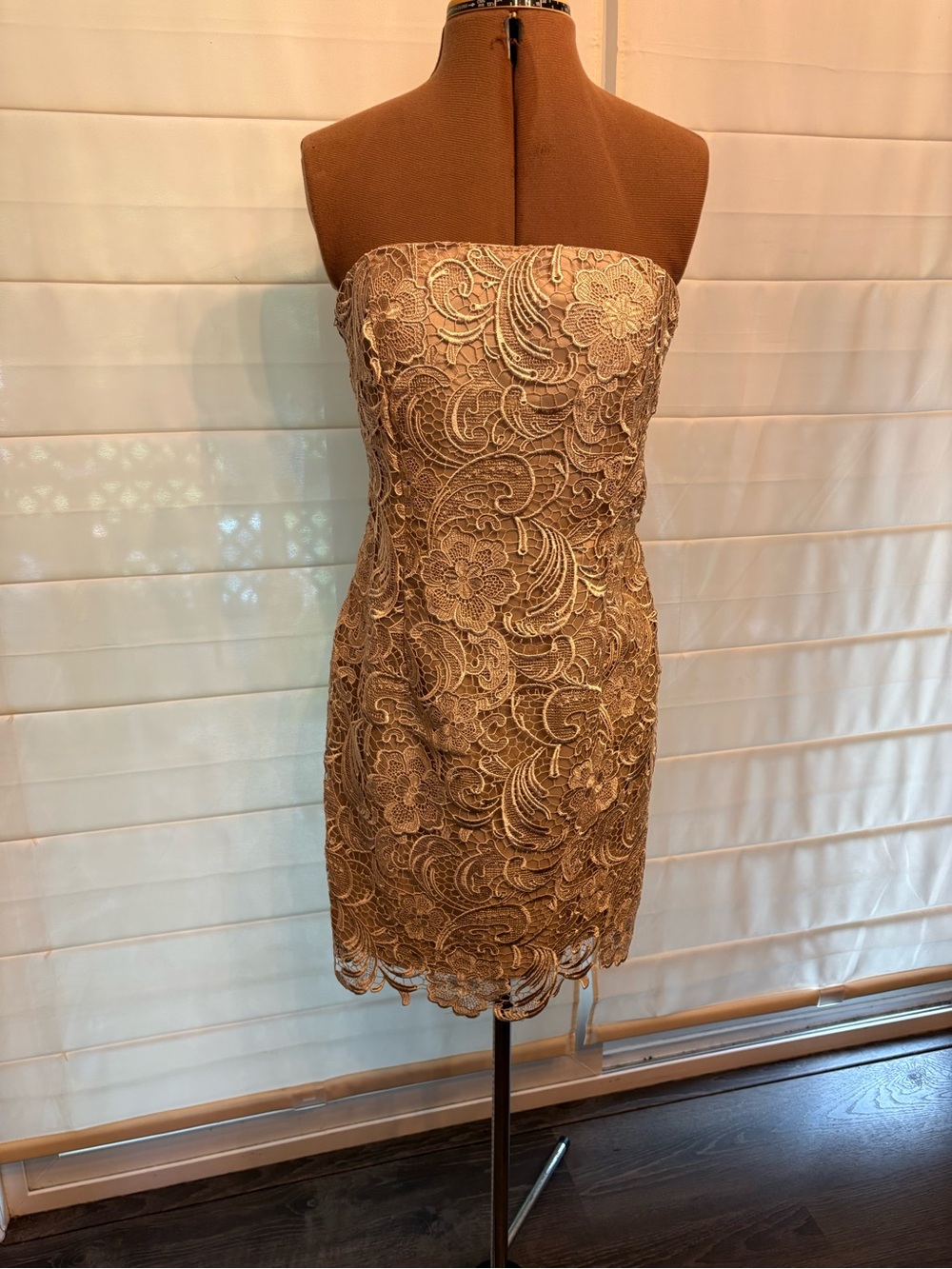 Adrianna Papell Strapless Lace Sheath Dress in Champagne
